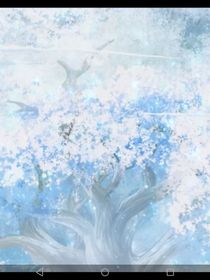 云雾茶香，梦在天涯