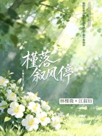 槿落叙风停
