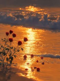 恋与深空：一觉醒来虚拟男友成真了！