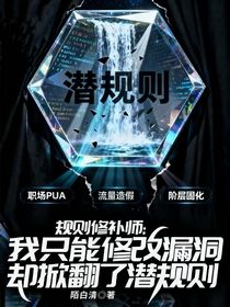 规则修补师：我只能修改漏洞，却掀翻了潜规则