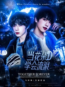 TF四代：当花朵学会了流浪