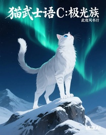 猫武士语C：极光族
