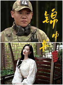 我是特种兵之火凤凰锦中书