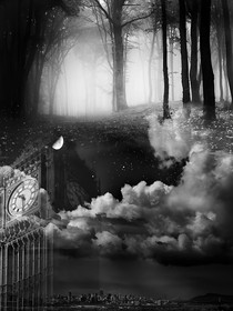 花语：最初的梦