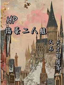 HP穿越捣蛋二人组