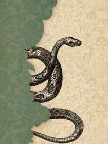 Hp：霍格沃茨那些破事儿