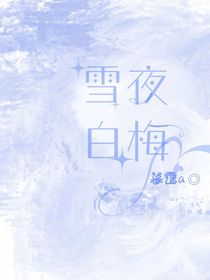 雪夜白梅