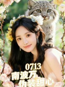 0713南波万：伪装甜心