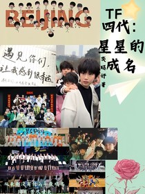 TF四代：星星的成名