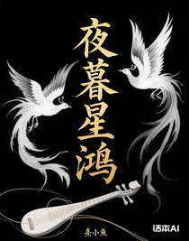 夜暮星鸿