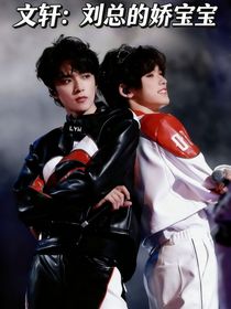 文轩：刘总的娇宝宝