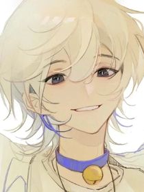 喜灰：综艺之旅