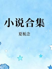 小说（合集）