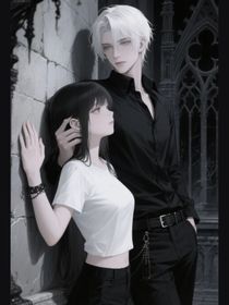 乙游：账号即主角