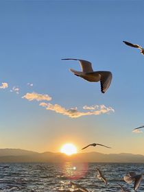 世界的隐秘与你