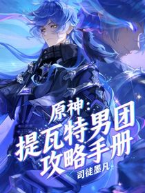 原神：提瓦特男团攻略手册