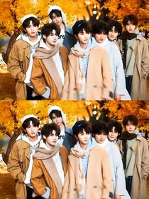 TNT：无声世界的和声