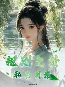 规则之外，私占月光