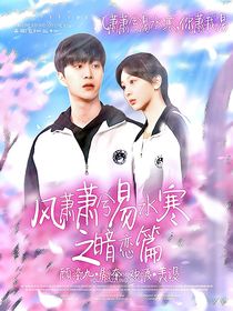 风萧萧兮易水寒之暗恋篇