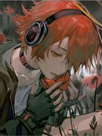 斗龙战士6伙伴……