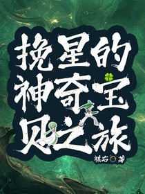 挽星的神奇宝贝之旅