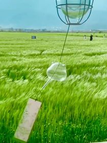 情至深时无俗界