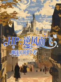 HP：逆风而飞
