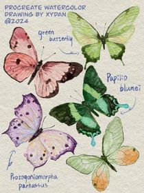 凹凸：蝴蝶之舞