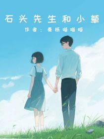 石头先生和小草
