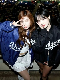 37line：每日小甜饼