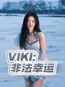 VIKI：非法幸运