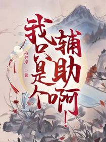 我只是个辅助啊！