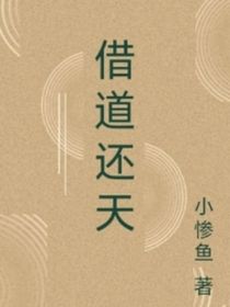 借道还天