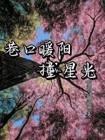 港口暖阳撞星光